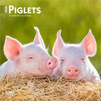 Piglets 2026 7 X 14 Inch (Hanging) Monthly Mini Wall Calendar