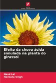 Efeito da chuva ácida simulada na planta do girassol