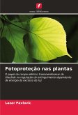 Fotoproteção nas plantas Fotoproteção nas plantas