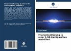 Filamententladung in einer 1.5D-Konfiguration modelliert
