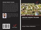 OBSZAR MIEJSKI TOLIARA OBSZAR MIEJSKI TOLIARA