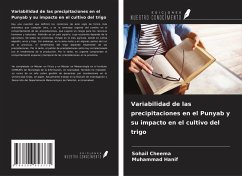Cover Variabilidad de las precipitaciones en el Punyab y su impacto en el cultivo del trigo