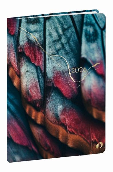 Geschäft Hipsy schmetterling 2026 Geschäft Hipsy schmetterling 2026