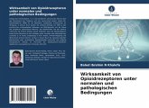 Wirksamkeit von Opioidrezeptoren unter normalen und pathologischen Bedingungen Wirksamkeit von Opioidrezeptoren unter normalen und pathologischen Bedingungen