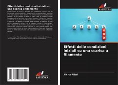 Cover Effetti delle condizioni iniziali su una scarica a filamento