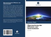 Überwachung der Effizienz von Solarmodulen