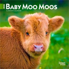 Cover Baby Moo Moos 2026 7 X 14 Inch (Hanging) Monthly Mini Wall Calendar
