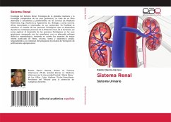 Sistema Renal Sistema Renal
