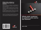 Effetto delle condizioni al contorno sulla scarica dei filamenti Effetto delle condizioni al contorno sulla scarica dei filamenti