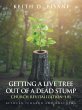 Getting a Live Tree Out of a Dead Stump... - Bild 1