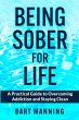 Being Sober For Life - Bild 1
