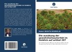 Die ausübung der gewohnheitsautorität im hinblick auf artikel 207 Die ausübung der gewohnheitsautorität im hinblick auf artikel 207