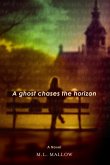A Ghost Chases the Horizon A Ghost Chases the Horizon