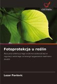 Fotoprotekcja u ro¿lin Fotoprotekcja u ro¿lin