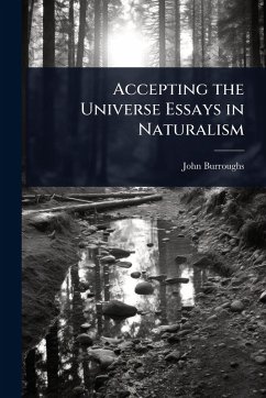 Cover Accepting the Universe Essays in Naturalism