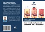 Das Parodontalligament - Anatomie und Pathologien