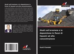 Studi sull'erosione e la deposizione in flussi di liquami ad alta concentrazione Cover Studi sull'erosione e la deposizione in flussi di liquami ad alta concentrazione
