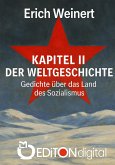 Kapitel II der Weltgeschichte (eBook, PDF)