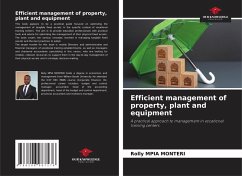 Efficient management of property, plant and equipment - MPIA MONTERI, Rolly