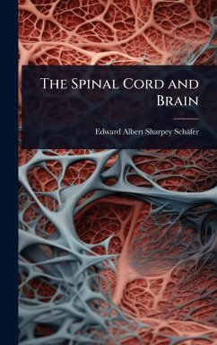 Cover The Spinal Cord and Brain