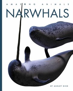 Cover Narwhals