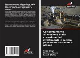 Comportamento all'erosione e alla corrosione dei rivestimenti in acciaio per caldaie spruzzati al plasma Comportamento all'erosione e alla corrosione dei rivestimenti in acciaio per caldaie spruzzati al plasma