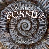 What is a Fossil?