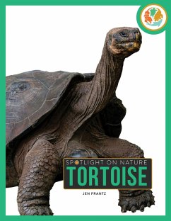 Cover Tortoise