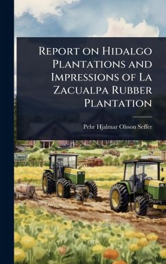 Cover Report on Hidalgo Plantations and Impressions of La Zacualpa Rubber Plantation