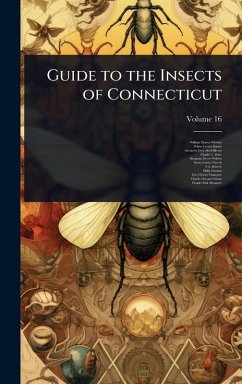 Cover Guide to the Insects of Connecticut