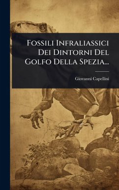 Cover Fossili Infraliassici Dei Dintorni Del Golfo Della Spezia...