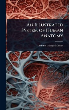 Cover An Illustrated System of Human Anatomy