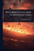 Wild Bird Guests, how to Entertain Them Wild Bird Guests, how to Entertain Them