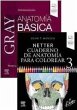 PACK GRAY ANATOMíA BáSICA + NETTER... - Bild 1