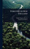Forestry in New England