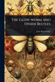 The Glow-worm And Other Beetles