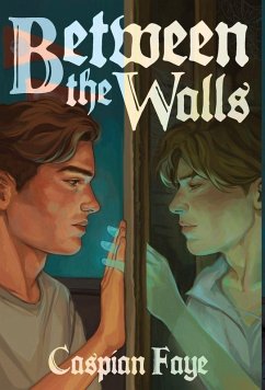 Cover Between the Walls