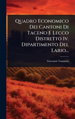Cover Quadro Economico Dei Cantoni Di Taceno E Lecco Distretto Iv. Dipartimento Del Lario...