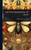 The Polymorphism Of Ants The Polymorphism Of Ants