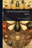The Polymorphism Of Ants The Polymorphism Of Ants