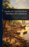 Story Of The Old Elm On Boston Common Story Of The Old Elm On Boston Common