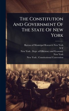 Cover The Constitution And Government Of The State Of New York
