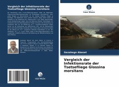 Vergleich der Infektionsrate der Tsetsefliege Glossina morsitans - Aboset, Gezahegn