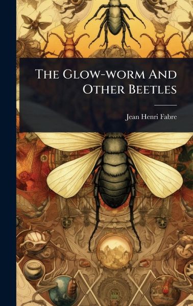 The Glow-worm And Other Beetles