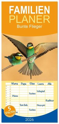 Cover Familienplaner 2026 - Bunte Flieger mit 5 Spalten (Wandkalender, 21 x 45 cm) CALVENDO