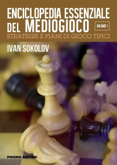 Strategie e piani di gioco tipici - Sokolov, Ivan