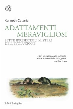 Cover Adattamenti meravigliosi. Sette irresistibili misteri dell'evoluzione
