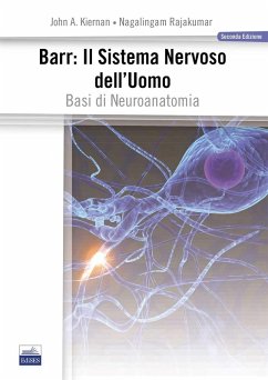 Barr. Il sistema nervoso dell'uomo. Basi di neuroanatomia - Kiernan, John A.; Rajakumar, Nagalingam