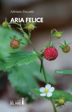 Aria felice - Zuccatti, Adriano