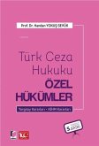 Türk Ceza Hukuku Özel Hükümler Ciltli Türk Ceza Hukuku Özel Hükümler Ciltli